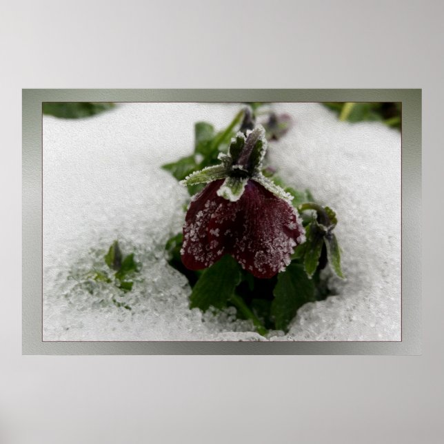 Affiche Bourgogne (Devant)