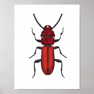 Affiche Bousier rouge