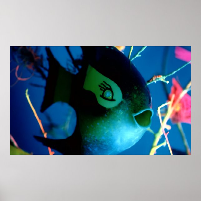 Affiche Bouteille Poisson JGibney Le Musée Zazzle Bannière (Devant)