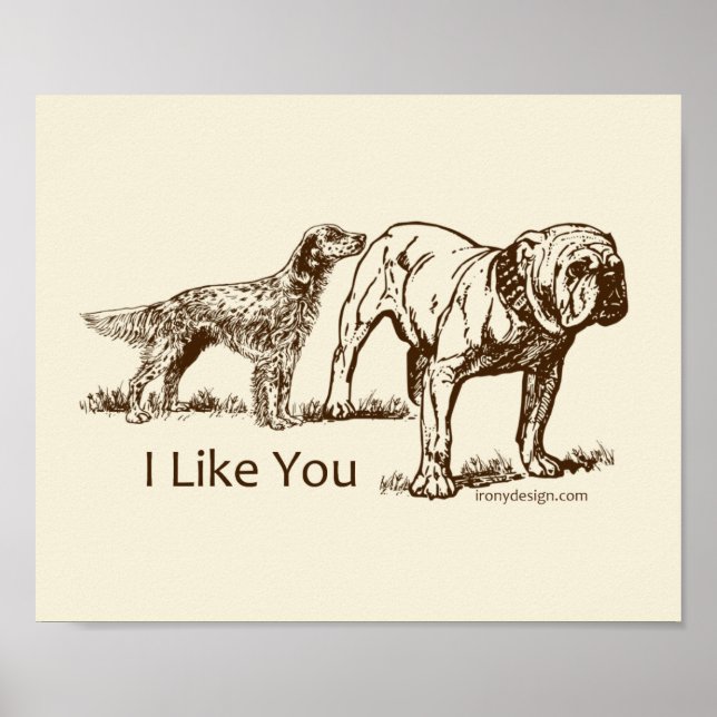 Affiche Bouton des nids de chien (Devant)