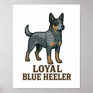 Affiche Bouvier Australien Fidèle Blue Heeler