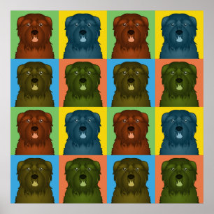 Affiche Bouvier des Flandres Dessin de Chien Pop-Art