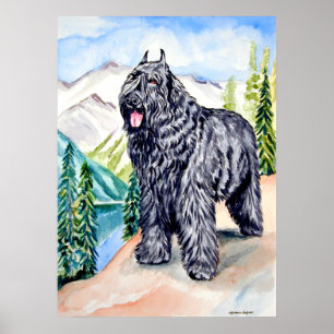 Affiche Bouvier des Flandres Imprimer le mur