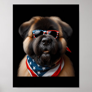 Affiche Bouviers Des Flandres Chien 4 juillet American Ind