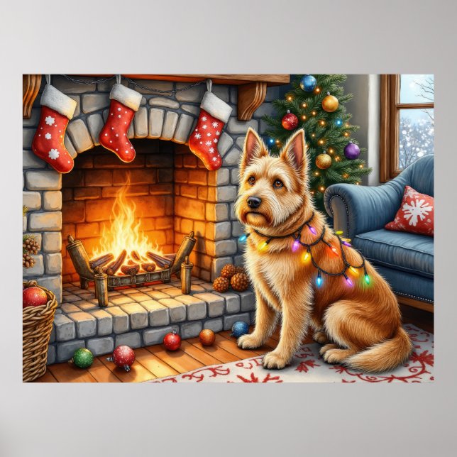 Affiche Bouviers des Flandres Fireplace Christmas Lights (Devant)