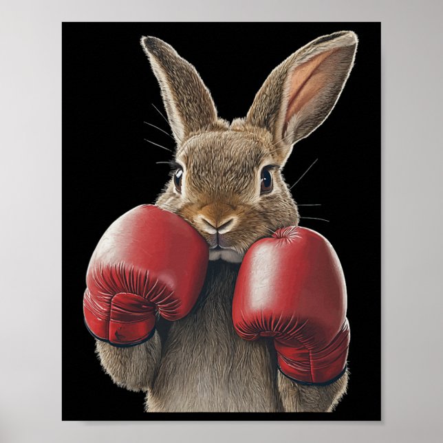 Affiche Boxe de lapin (Devant)