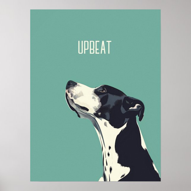 Affiche Boxe noire et blanche (Devant)