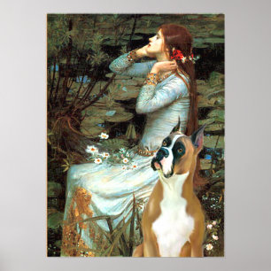Affiche Boxer 1 (oreilles rognées) - Ophélie