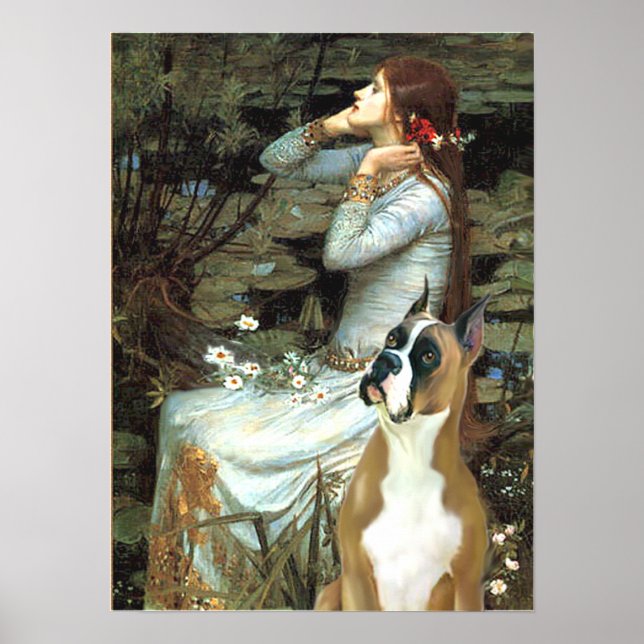 Affiche Boxer 1 (oreilles rognées) - Ophélie (Devant)