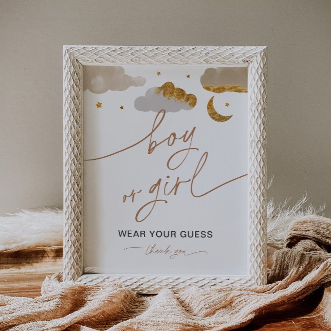 Affiche Boy Or Girl Gender Game Sign Twinkle Star (Créateur téléchargé)