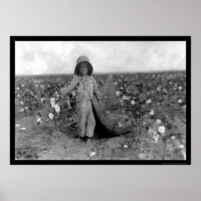 Affiche Boy Picking Cotton à Comanche, OK 1916 (Devant)