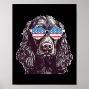 Affiche Boykin Spaniel Usa Drapeau Américain Chien Lunette