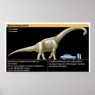 Affiche Brachiosaurus - Biologie Jurassique