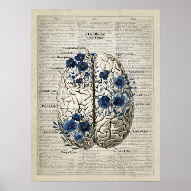 Affiche Brain Anatomy Blue Floral Dictionnaire Art (Devant)