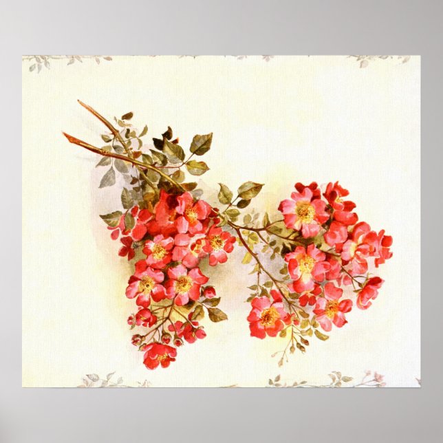 Affiche Branche avec fleurs roses personnalisée (Devant)