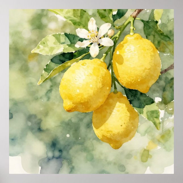 Affiche Branche de citron à l'aquarelle Botanique Été (Devant)