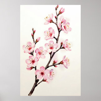 Affiche Branche de fleurs de cerisier aquarelle