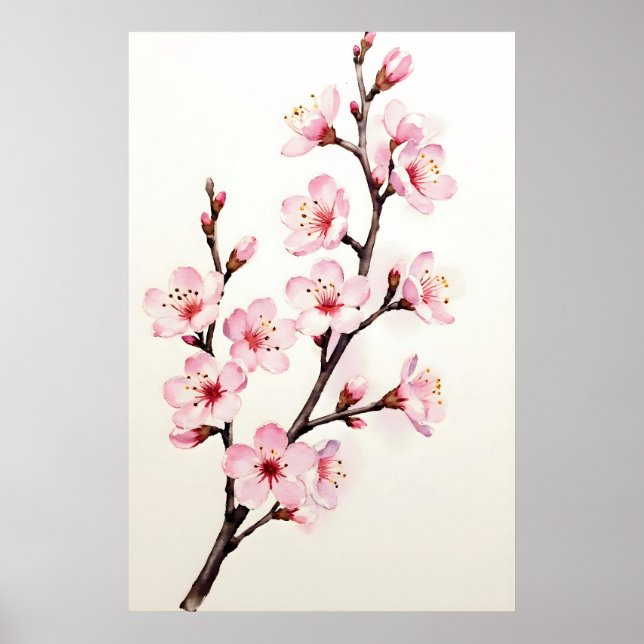 Affiche Branche de fleurs de cerisier aquarelle (Devant)