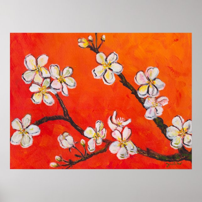Affiche Branche de floraison blanche au printemps (Devant)