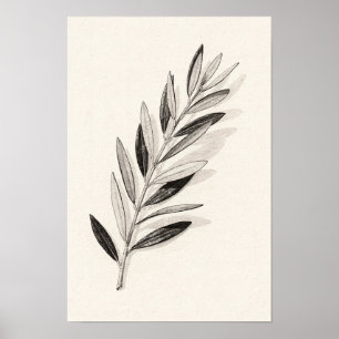 Affiche Branche de olivier unique monochrome Nature