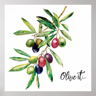 Affiche Branche d'olive aquarelle