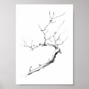 Affiche Branche minimaliste de l'arbre Delicate