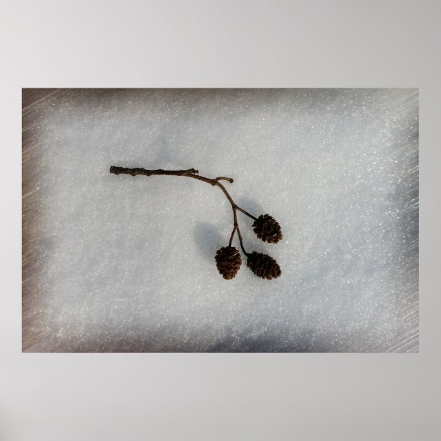 Affiche branche tombée (Devant)