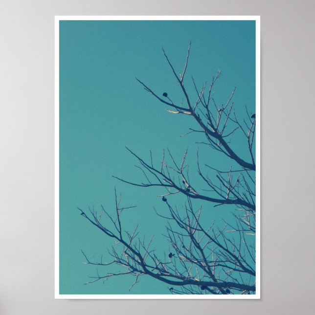 Affiche Branches (Devant)