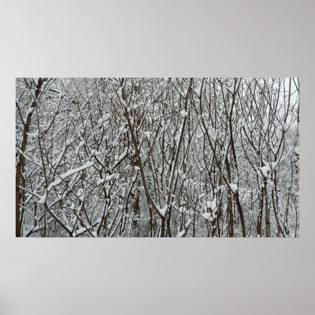 Affiche Branches couvertes de neige hiver (Devant)