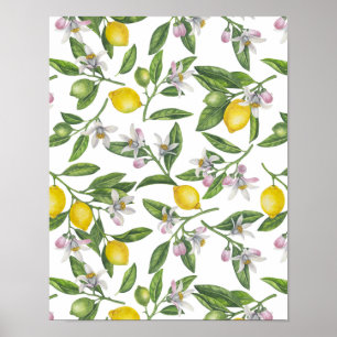 Affiche Branches de citron avec fleurs et fruits sur blanc