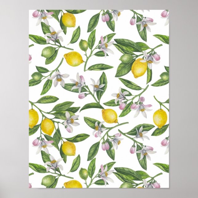 Affiche Branches de citron avec fleurs et fruits sur blanc (Devant)