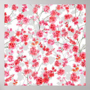 Affiche Branches de fleurs de cerisiers sur le fond blanc