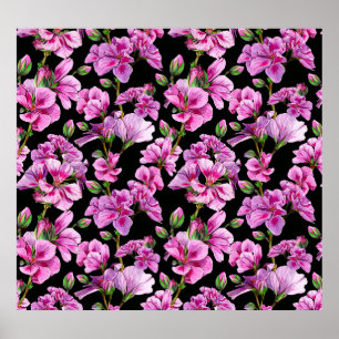 Affiche Branches de géranium, bourgeons roses aquarelles.