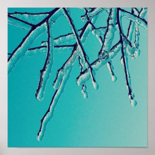 Affiche branches de glace
