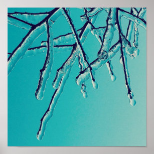 Affiche branches de glace