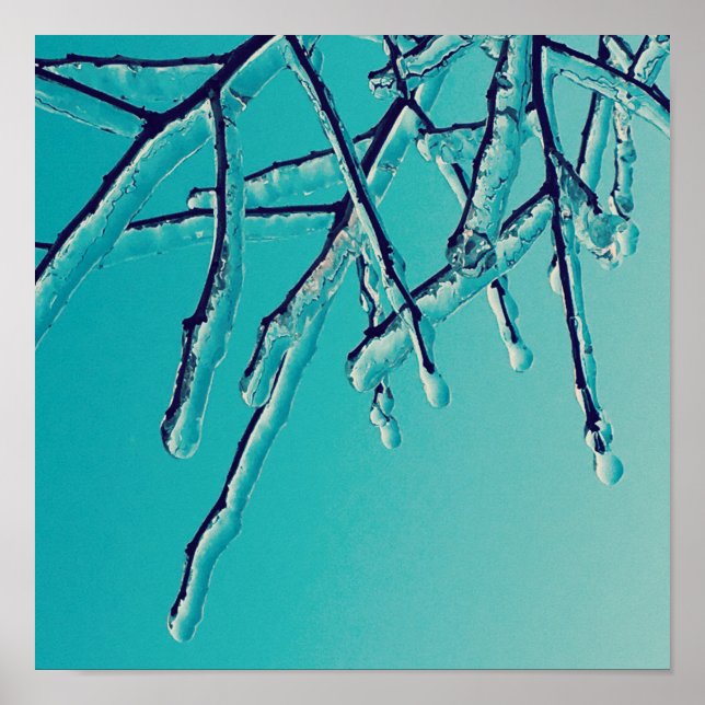 Affiche branches de glace (Devant)