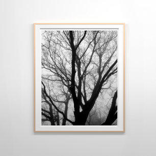 Affiche Branches de la photographie du brouillard