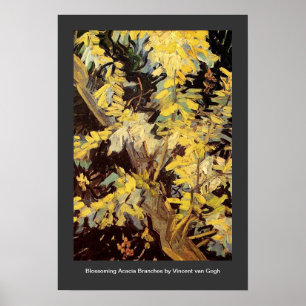 Affiche Branches de l'acacia en floraison Vincent van Gogh