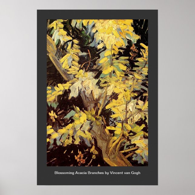 Affiche Branches de l'acacia en floraison Vincent van Gogh (Devant)