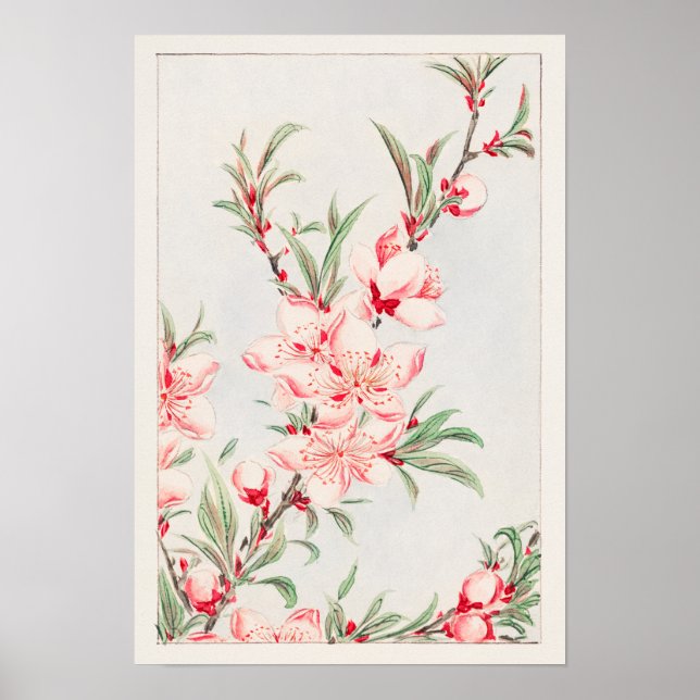 Affiche Branches de pêcher (1870–1880) de Megata Morikaga (Devant)