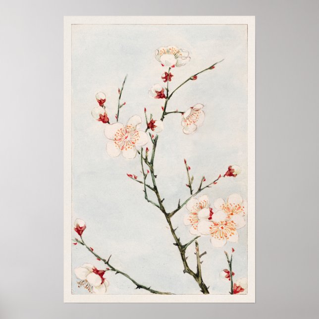 Affiche Branches de prunes avec fleurs de Megata Morikaga (Devant)