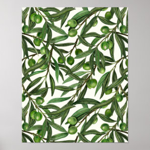 Affiche Branches d'olive sur blanc