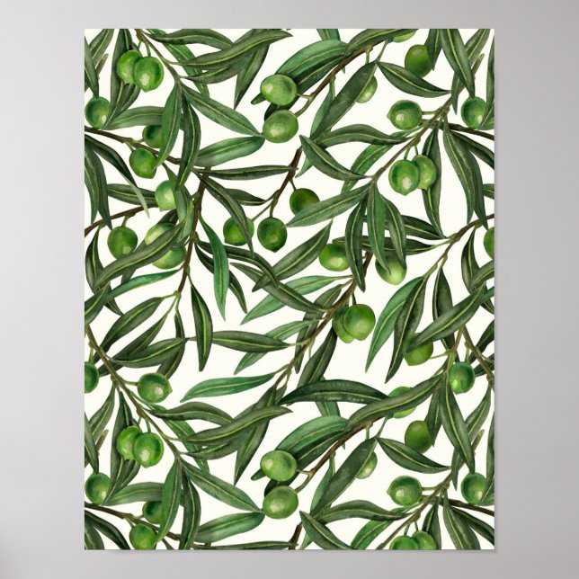 Affiche Branches d'olive sur blanc (Devant)