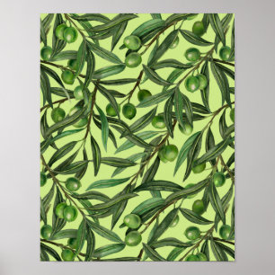 Affiche Branches d'olive sur le vert miel