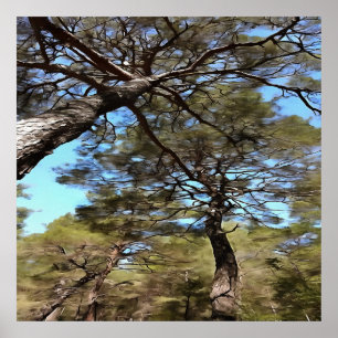 Affiche Branches En Tangée Des Pins Perspective Bizarre