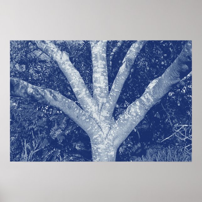 Affiche Branches Fourchues - Effet Cyanotype (Devant)