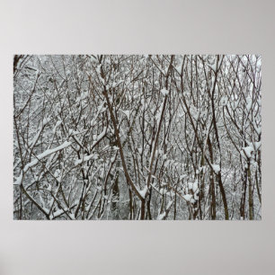 Affiche Branches recouvertes de neige Hiver