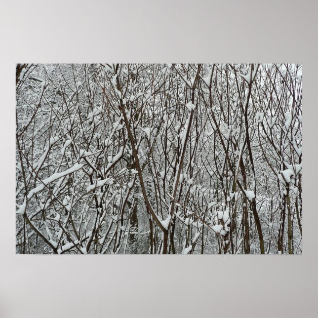 Affiche Branches recouvertes de neige Hiver (Devant)