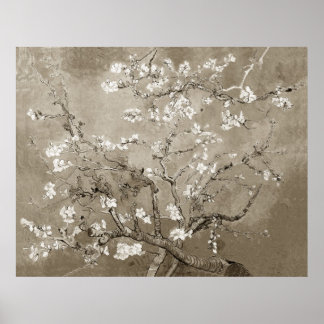 Affiche Branches Van Gogh Almond en Bloom - Sepia