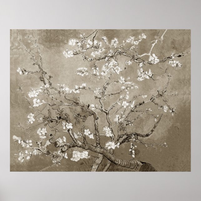 Affiche Branches Van Gogh Almond en Bloom - Sepia (Devant)
